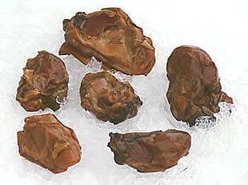 Pacific Oysters